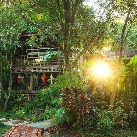 Tongluang Inthanon Homestay โต้งหลวงอินทนนท์โฮมสเตย์ チョームトーン エクステリア 写真
