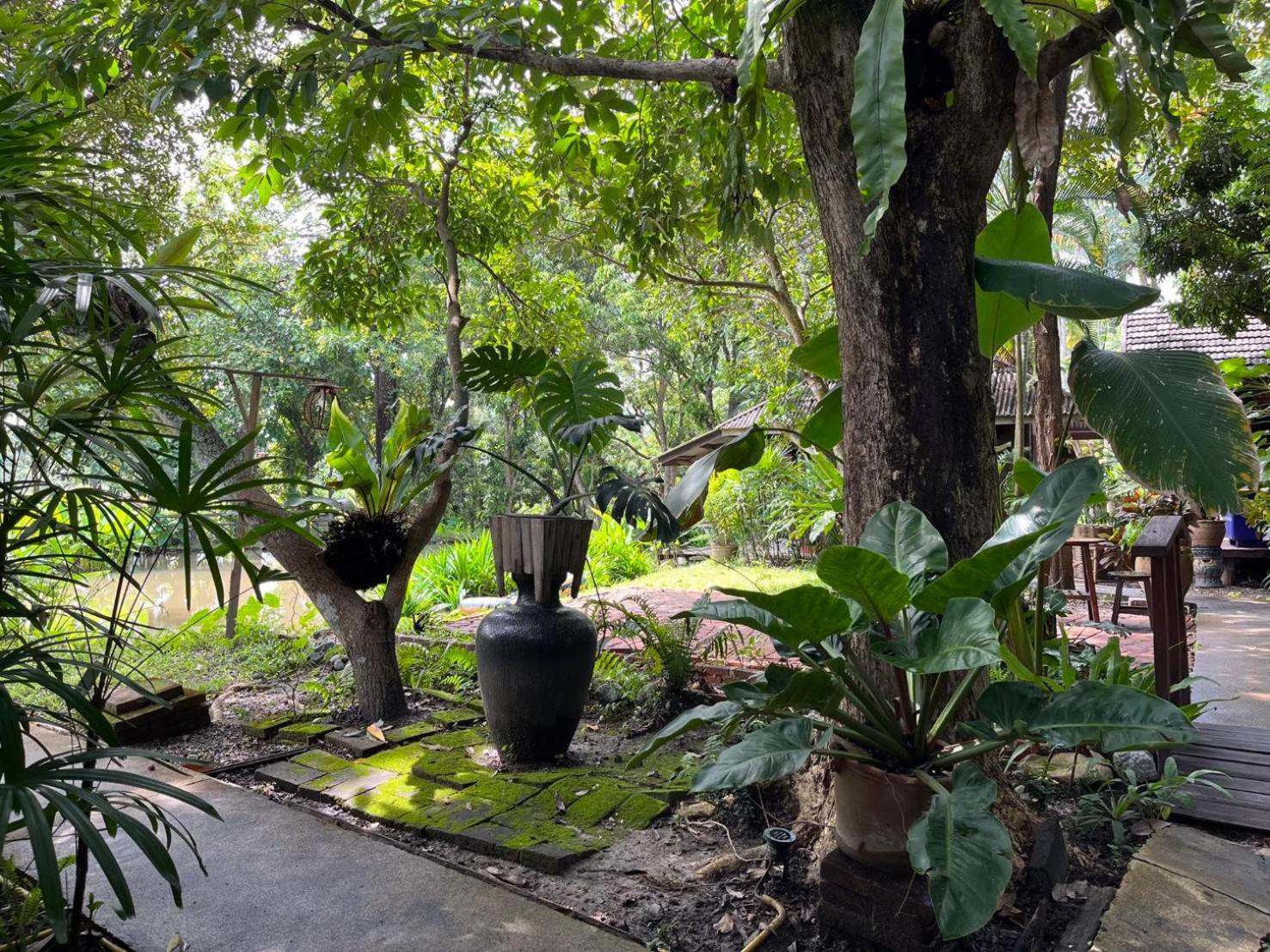 Tongluang Inthanon Homestay โต้งหลวงอินทนนท์โฮมสเตย์ チョームトーン エクステリア 写真