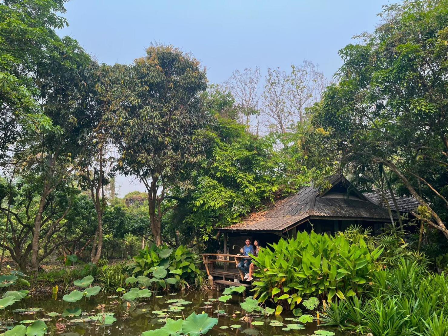 Tongluang Inthanon Homestay โต้งหลวงอินทนนท์โฮมสเตย์ チョームトーン エクステリア 写真